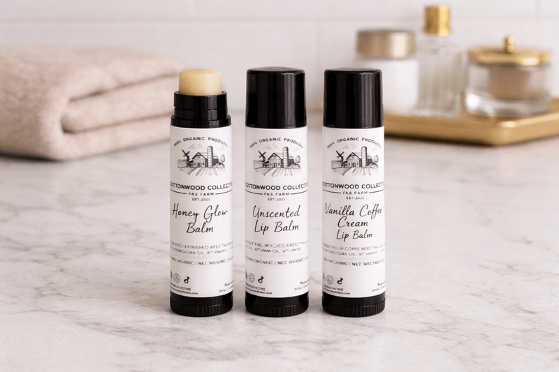 Natural tallow lip balm 3-pack gift set — grass-fed, non-toxic lip care handmade in Tennessee
